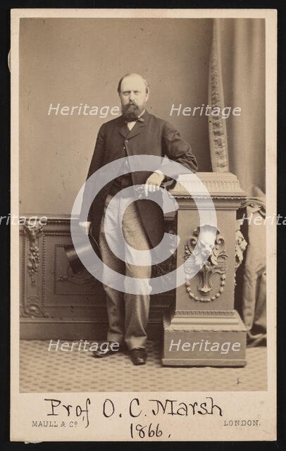 Portrait of Othniel Charles Marsh (1831-1879), 1866. Creator: Maull & Co.
