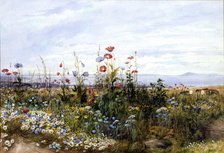 Wildflowers with a View of Dublin Bay from Kingstown, 1830s. Creator: Andrew Nicholl.