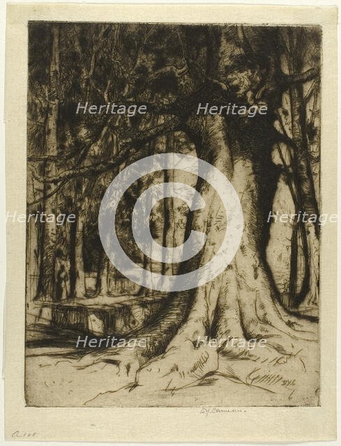 The Sycamore, 1905. Creator: David Young Cameron.