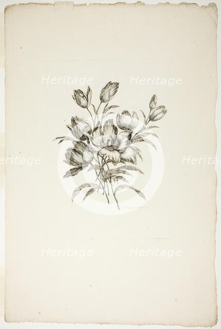 Bouquet with Tulips, from Collection of Different Bouquets of Flowers, I..., published July 4, 1760. Creator: Pierre-Charles Canot.