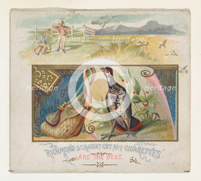 Canada Grouse, from the Game Birds series (N40) for Allen & Ginter Cigarettes, 1888-90. Creator: Allen & Ginter.