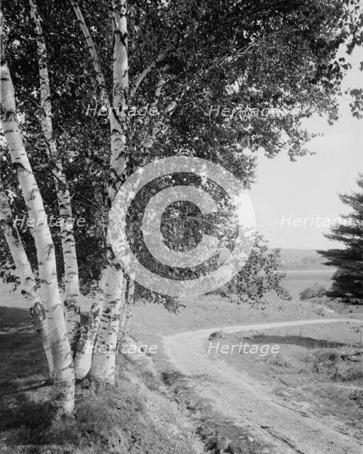 Down the road and far away, c.between 1910 and 1920. Creator: Unknown.