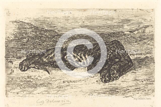 Tiger Sleeping in the Desert (Tigre couché dans le désert), 1846. Creator: Eugene Delacroix.
