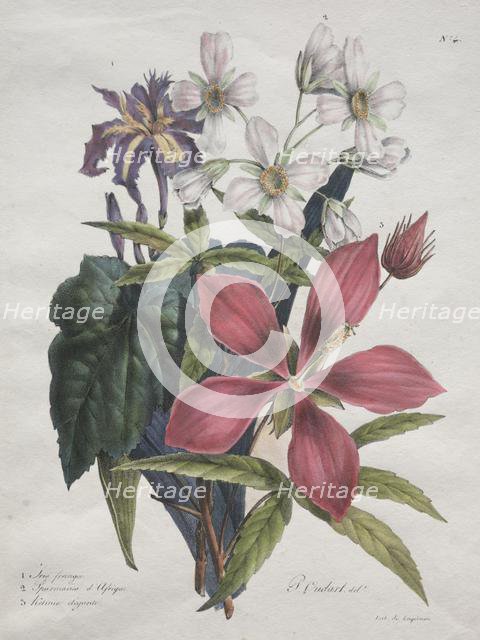 Cours dHistoire Naturelle, contenant les principales espèces du règne animal…, 1825. Creator: Godefroy Engelmann (French, 1788-1839).