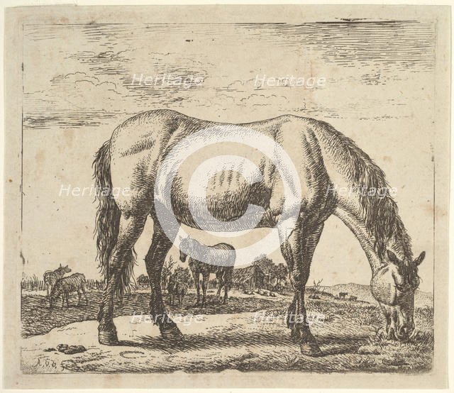 Grazing Horse, from Different Animals. Creator: Adriaen van de Velde.