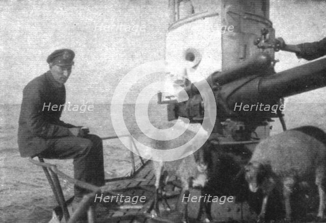 'A bord des sous-marins allemands; Ravitaillement en viande fraiche: deux moutons provenant..., 1918 Creator: Unknown.