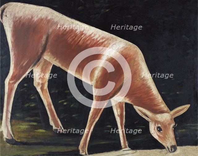 Roe deer drinking. Artist: Pirosmani, Niko (1862-1918)