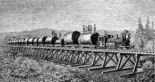 Steam train carrying trunks of giant trees in California, engraving of 1886.