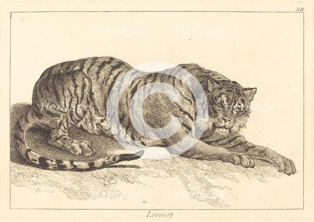 Leopart (Leopard or Tiger). Creator: Jacques Philippe Le Bas.