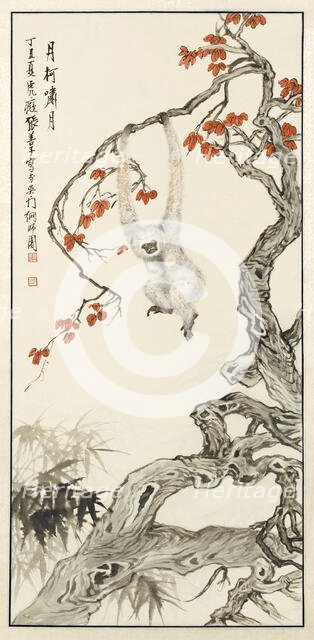 White monkey, 1937. Creator: Zhang Shanzi.