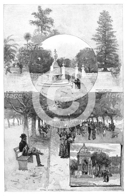 Pleasure gardens, Sydney, New South Wales, Australia, 1886.Artist: WJ Smedley