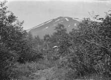 Travel views of Japan and Korea, 1908. Creator: Arnold Genthe.