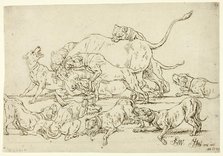 Dogs Attacking a Bull, 1789. Creator: Joseph Georg Winter.
