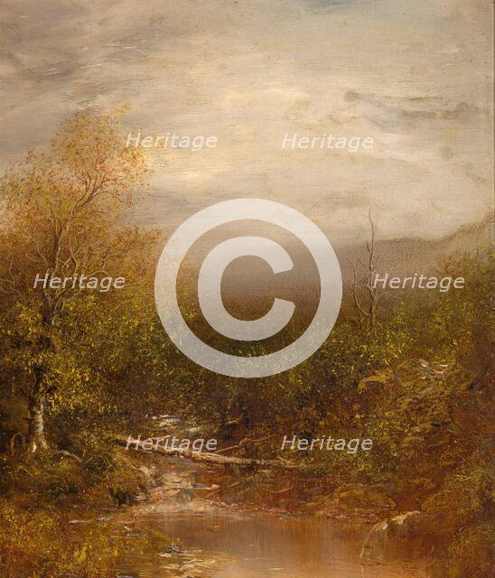 Pool in the Adirondacks, about 1875-1878. Creator: Ralph Blakelock.