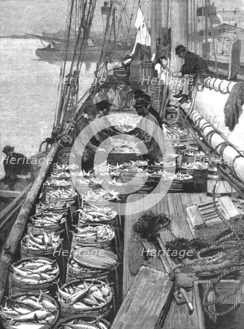''The American Fisheries Question; Dressing a Deck of Mackerel', 1890. Creator: Rev. W.S Green.