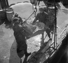 Fulton fish market dock stevedores unloading and weighing fish in the early morning, New York, 1943. Creator: Gordon Parks.