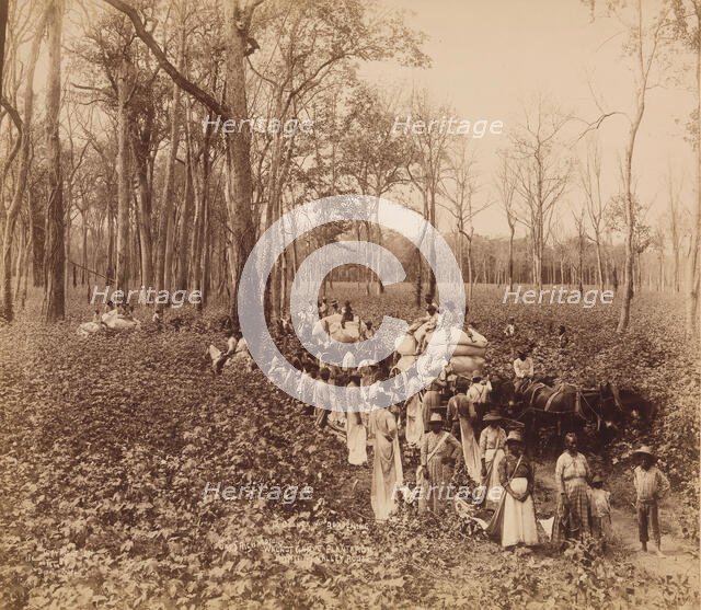 12 O'clock in the Deadening, ca. 1891. Creator: John Horgan.