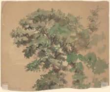 Tree [verso], c. 1870-1900. Creator: Enoch Wood Perry.