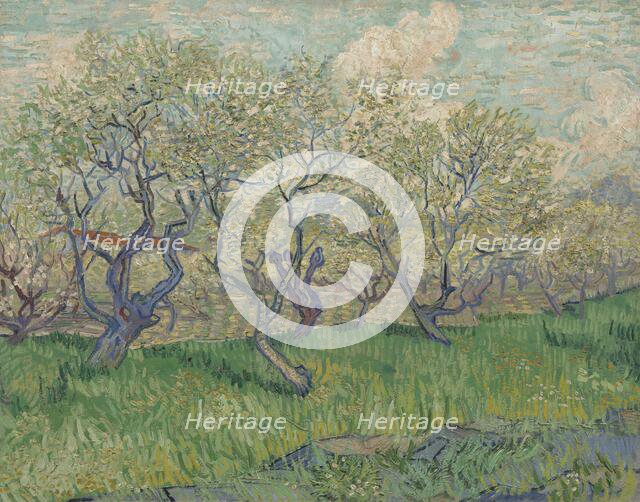 Orchard in Blossom, 1889. Creator: Gogh, Vincent, van (1853-1890).