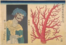 Stick of Coral and a Portrait of South Sea Islander, 3rd month, 1860. Creator: Sadahide Utagawa.