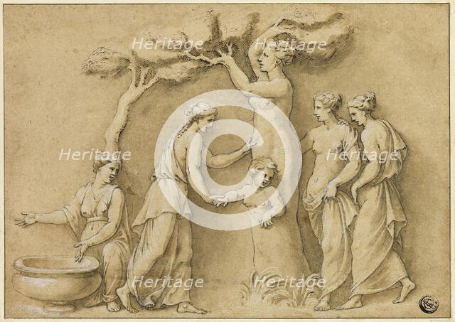 Birth of Adonis, n.d. Creator: Unknown.