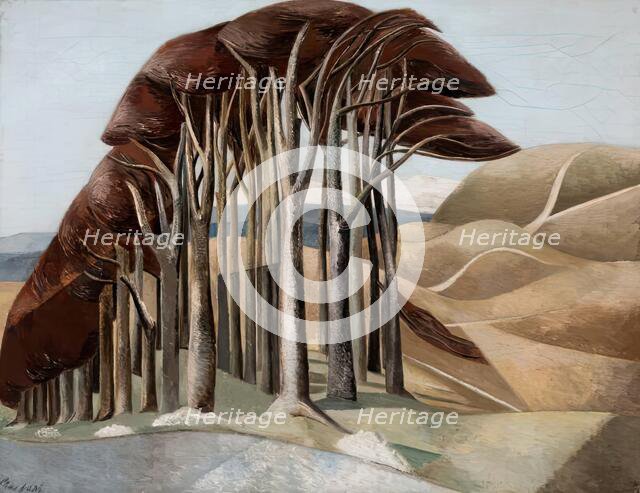 Wood on the Downs, 1929. Creator: Paul Nash.