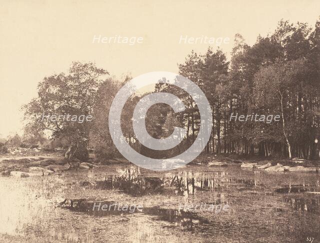 Marsh at Piat (Belle-Croix Plateau), c. 1863. Creator: Eugène Cuvelier.