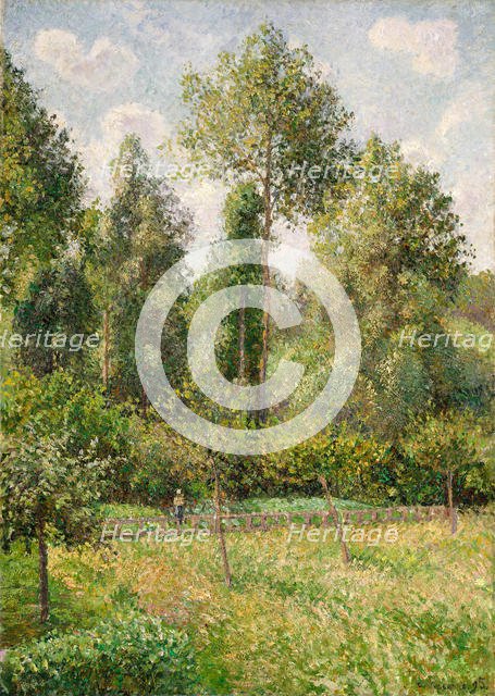 Poplars, Éragny, 1895. Creator: Camille Pissarro.