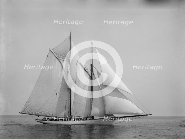Shamrock, 1892 June 14. Creator: John S Johnston.