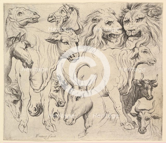 Studies of Heads. Creator: Unknown.