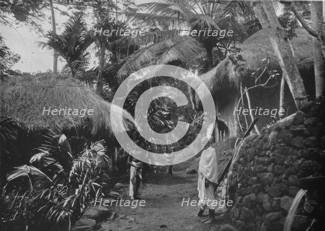 'Native Huts in the Jungle', c1890, (1910). Artist: Alfred William Amandus Plate.