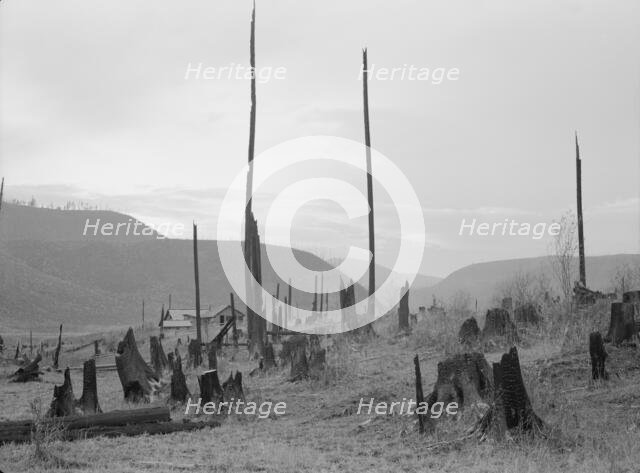 View of the Halley farm. Priest River Peninsula. Bonner County, Idaho, 1939. Creator: Dorothea Lange.