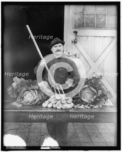 War Garden Commission, between 1910 and 1920. Creator: Harris & Ewing.