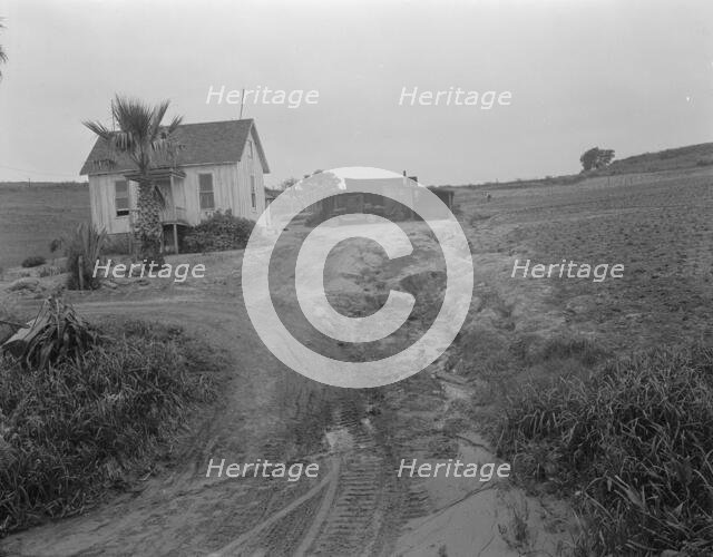 Eroded field, San Luis Obispo County, California, 1936. Creator: Dorothea Lange.