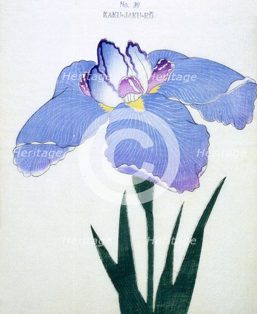 Kaku-Jaku-Ro, No 39.