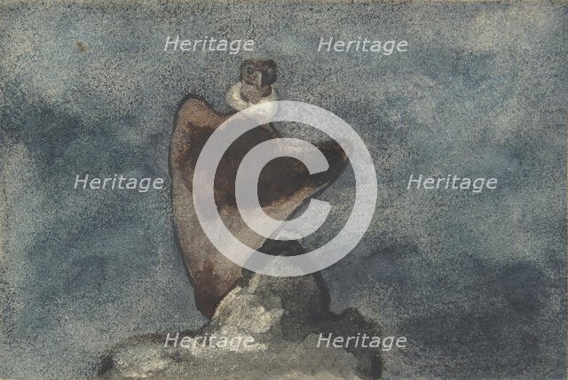 Vulture, 1810-75. Creator: Antoine-Louis Barye.