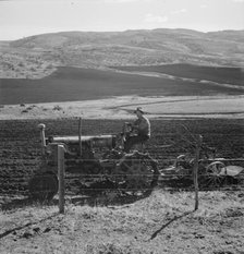 Possibly: Young Idaho farmer plowing in the fall of the year..., Gem County, Idaho, 1939. Creator: Dorothea Lange.