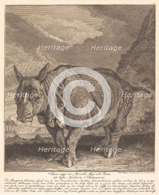 Nashorn Rhinoceros, 1748. Creator: Johann Elias Ridinger.