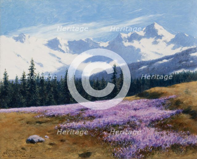 Crocuses with Snowy Mountains Behind, July 29, 1897. Creator: Stanislaw Witkiewicz.