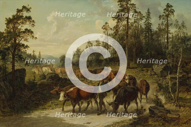 Driving Cattle in Småland, 1863. Creator: Nils Andersson.