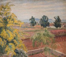 Mimosa Lavendou, 1923. Creator: Lucien Pissarro.