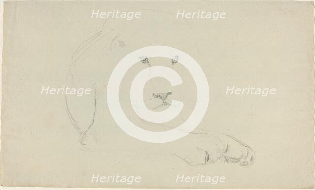 Lion. Creator: John Flaxman.