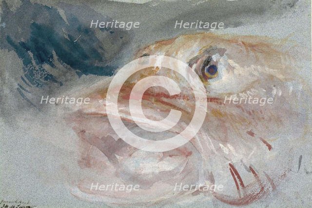 Gurnet's Head, n.d. Creator: Unknown.