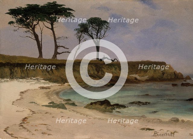 Sea Cove, ca. 1880-90. Creator: Albert Bierstadt.