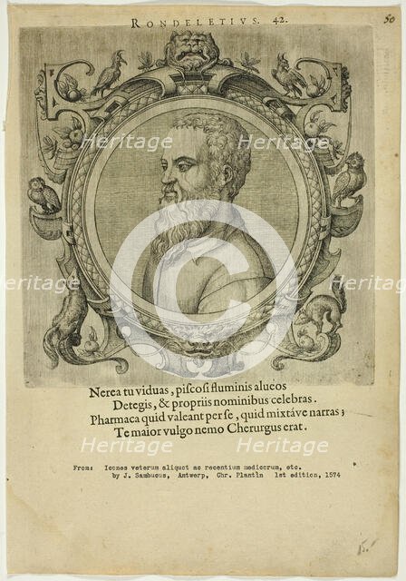 Portrait of Rondeletius, published 1574. Creators: Unknown, Johannes Sambucus.