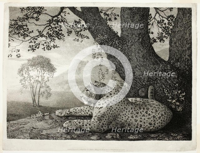 A Tyger (A Recumbent Leopard by a Tree), May 1, 1788. Creator: George Stubbs.