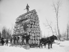 Logging a big load, between 1880 and 1899. Creator: Unknown.