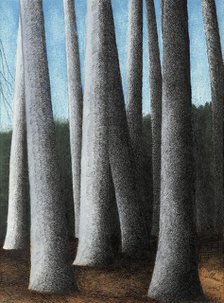 Beech Trees Trunks, 1945. Creator: Spilliaert, Léon (1881-1946).