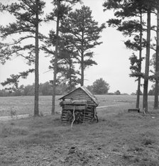 Henhouse on Negro tobacco farm, Person County, North Carolina, 1939. Creator: Dorothea Lange.