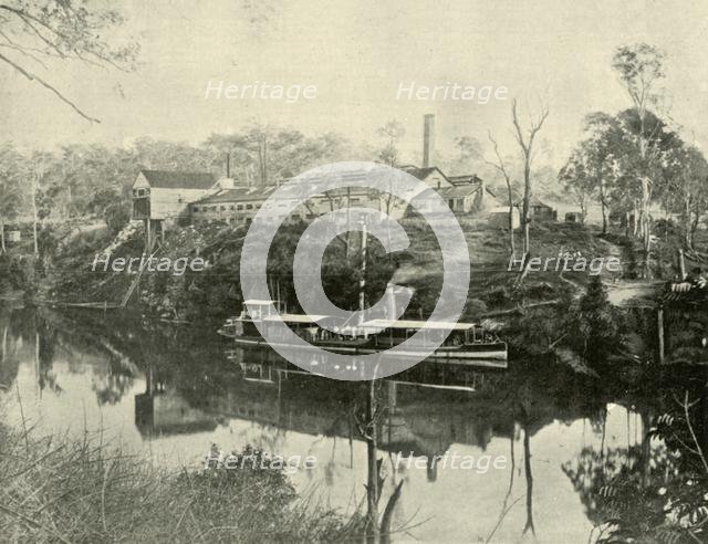 'Meat Works, near Grafton, New South Wales', 1901. Creator: Unknown.